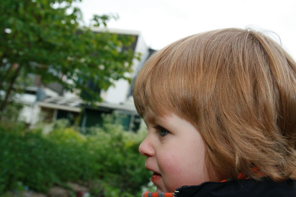 EOS IMG_20100510_1990