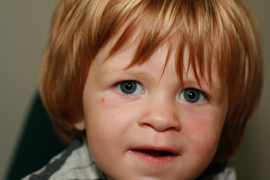 EOS IMG_20100816_2301