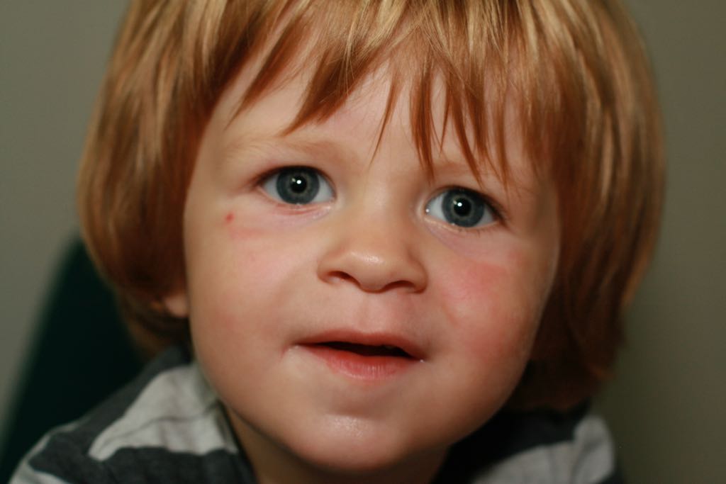 EOS IMG_20100816_2302