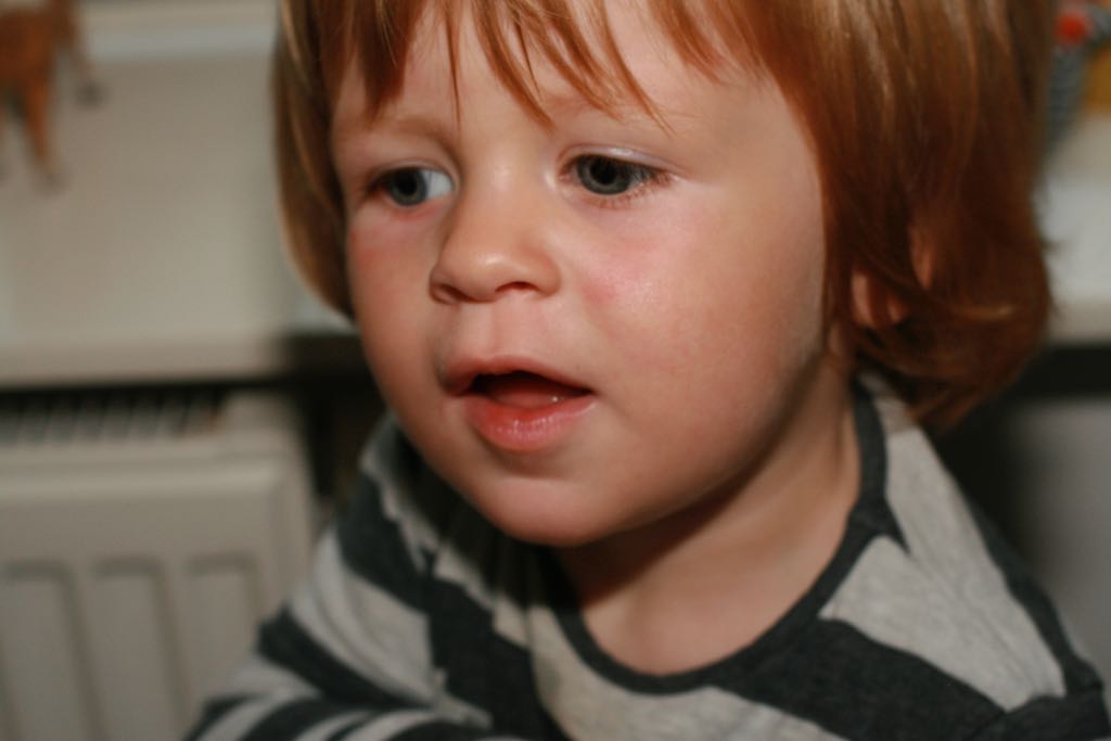 EOS IMG_20100816_2314