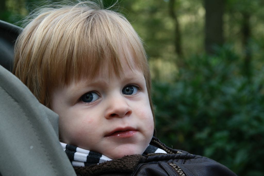 EOS IMG_20101017_2381