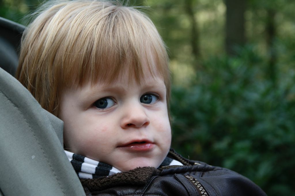 EOS IMG_20101017_2382