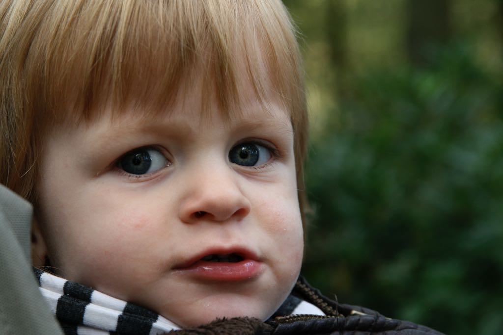 EOS IMG_20101017_2384