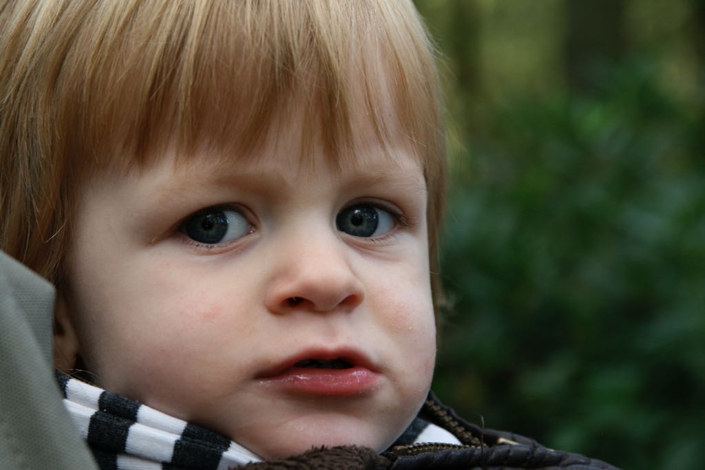 EOS IMG_20101017_2385