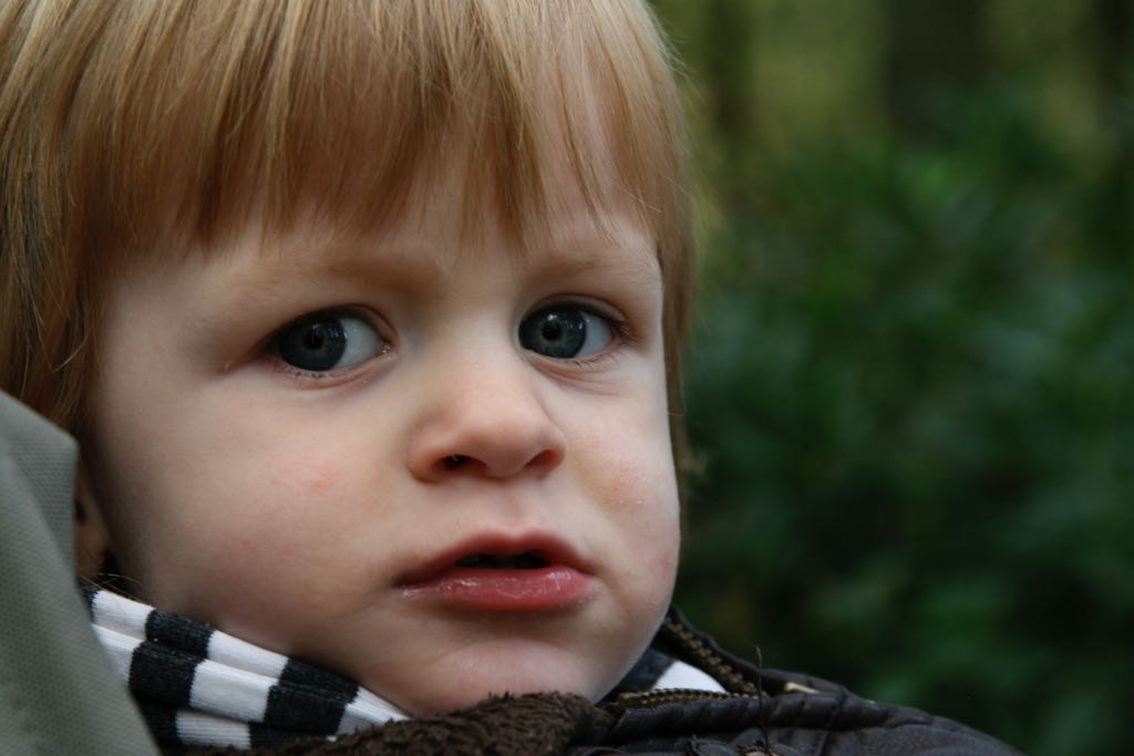 EOS IMG_20101017_2386