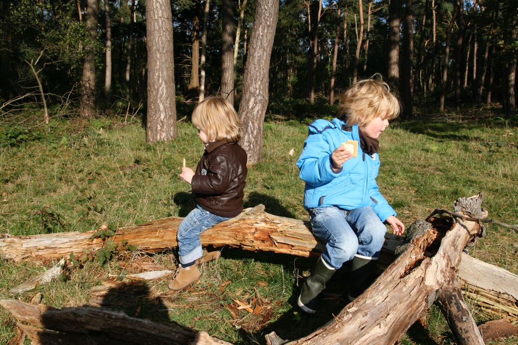 EOS IMG_20101017_2399