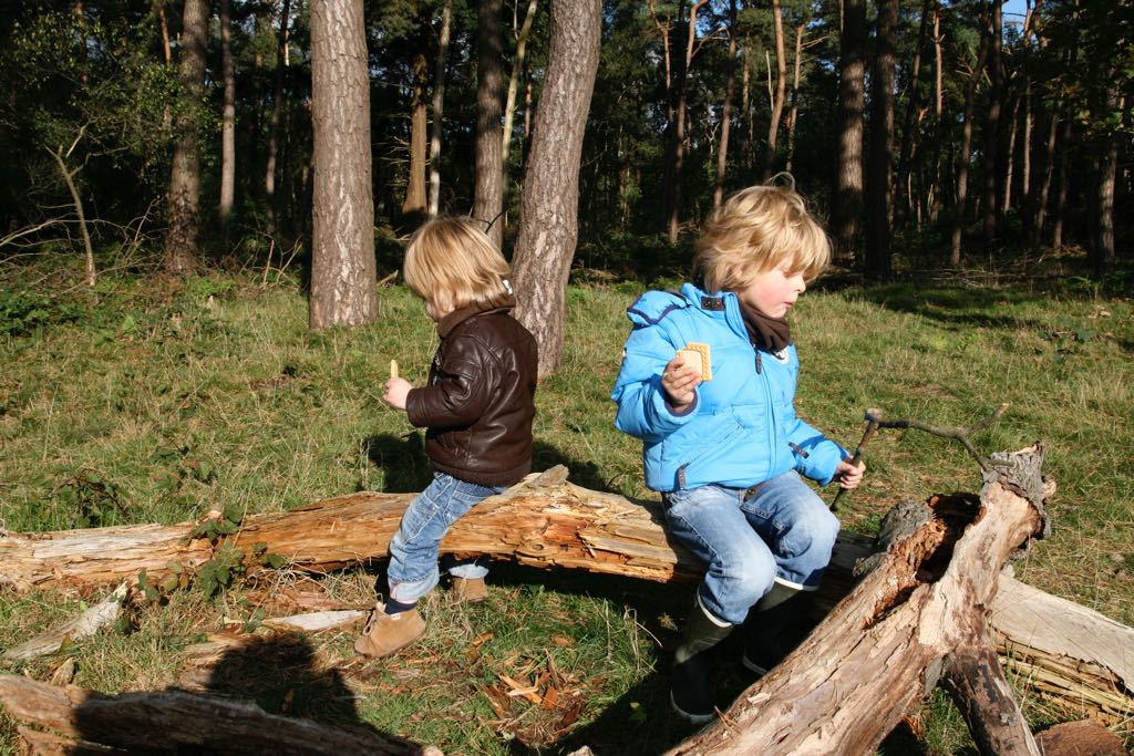 EOS IMG_20101017_2401