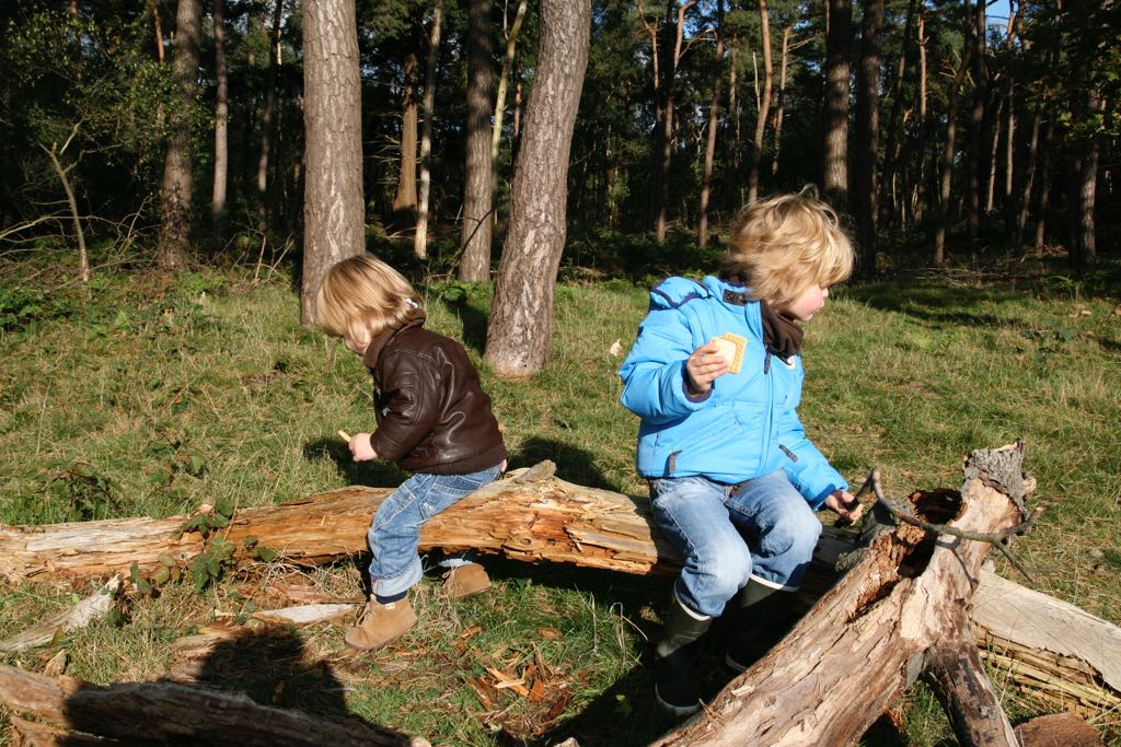 EOS IMG_20101017_2402