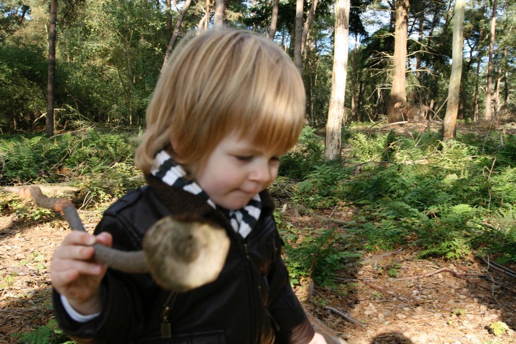 EOS IMG_20101017_2425
