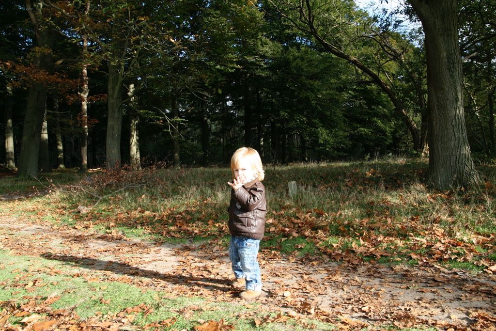 EOS IMG_20101017_2426