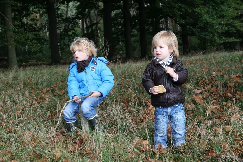 EOS IMG_20101017_2443