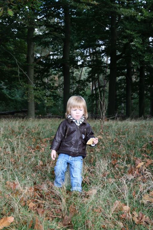 EOS IMG_20101017_2456