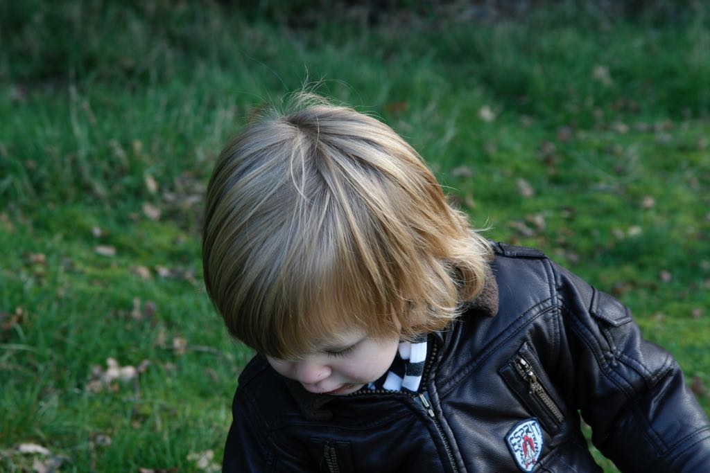 EOS IMG_20101017_2459