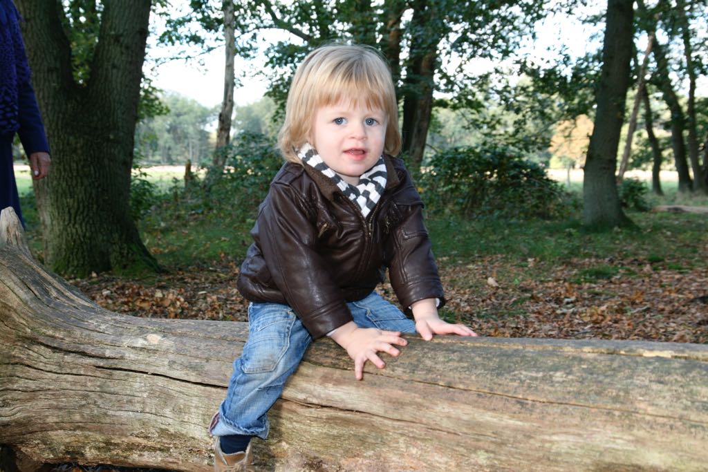 EOS IMG_20101017_2469