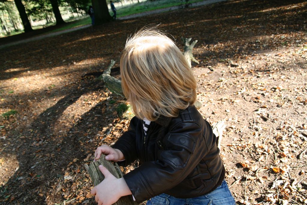 EOS IMG_20101017_2479