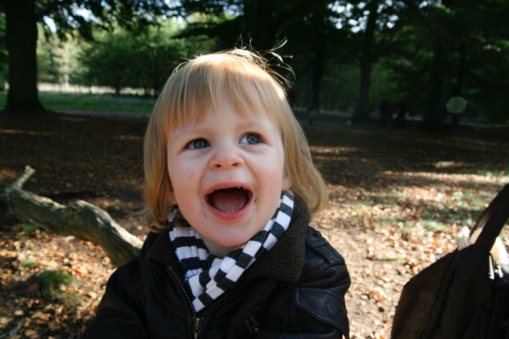 EOS IMG_20101017_2480