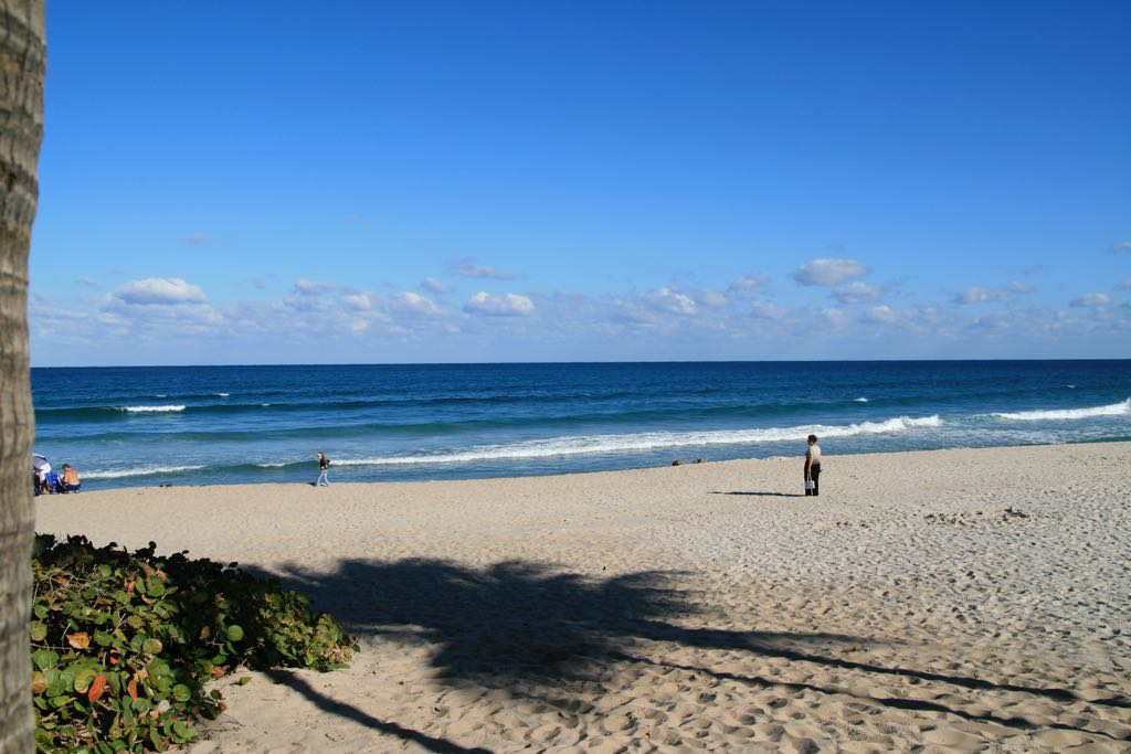 EOS IMG_0689