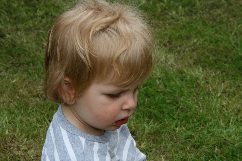 EOS IMG_0804