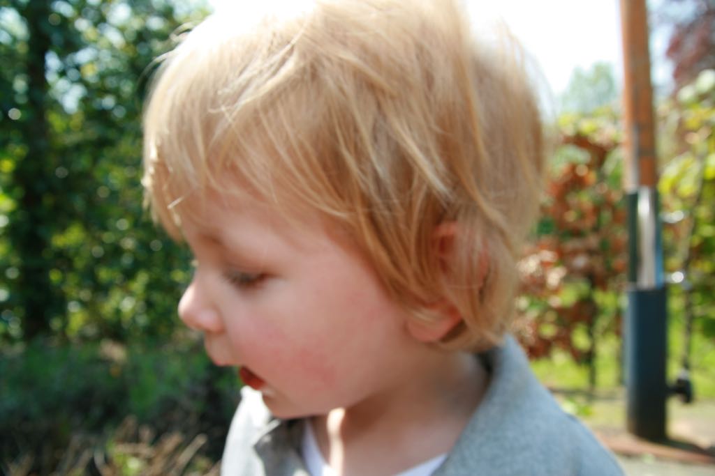 EOS IMG_0841