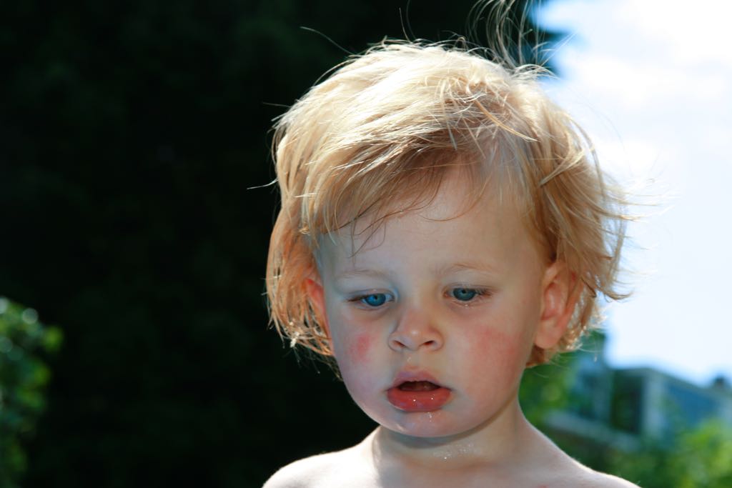 EOS IMG_1120