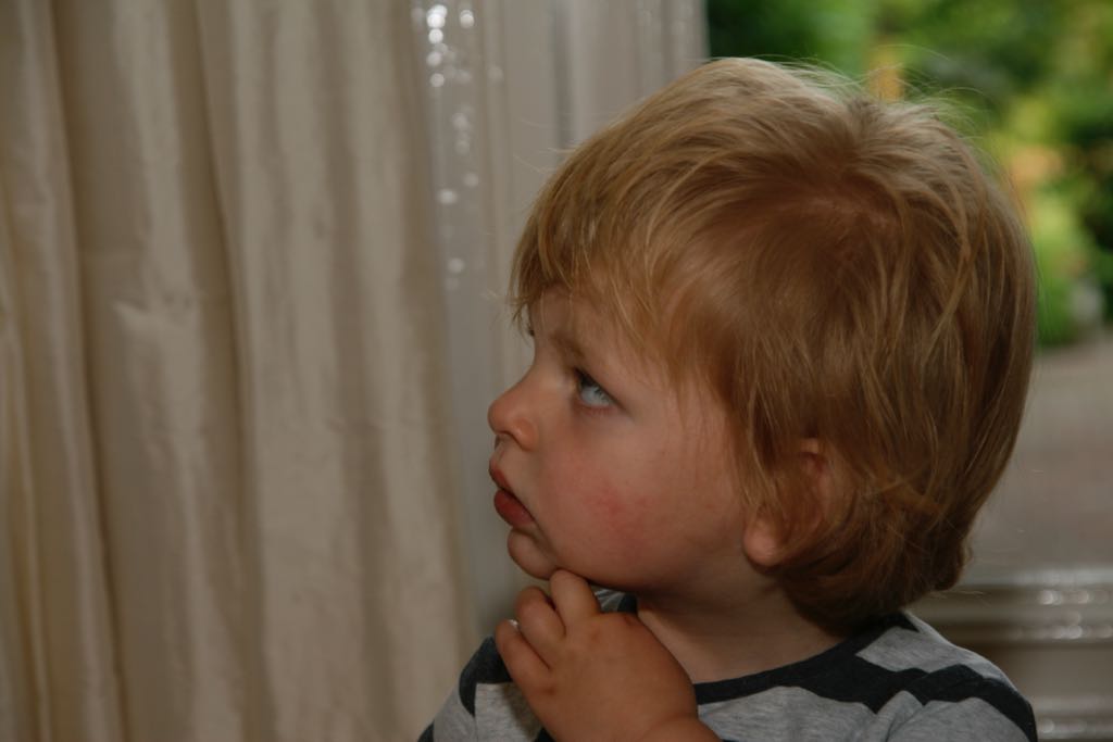 EOS IMG_1140