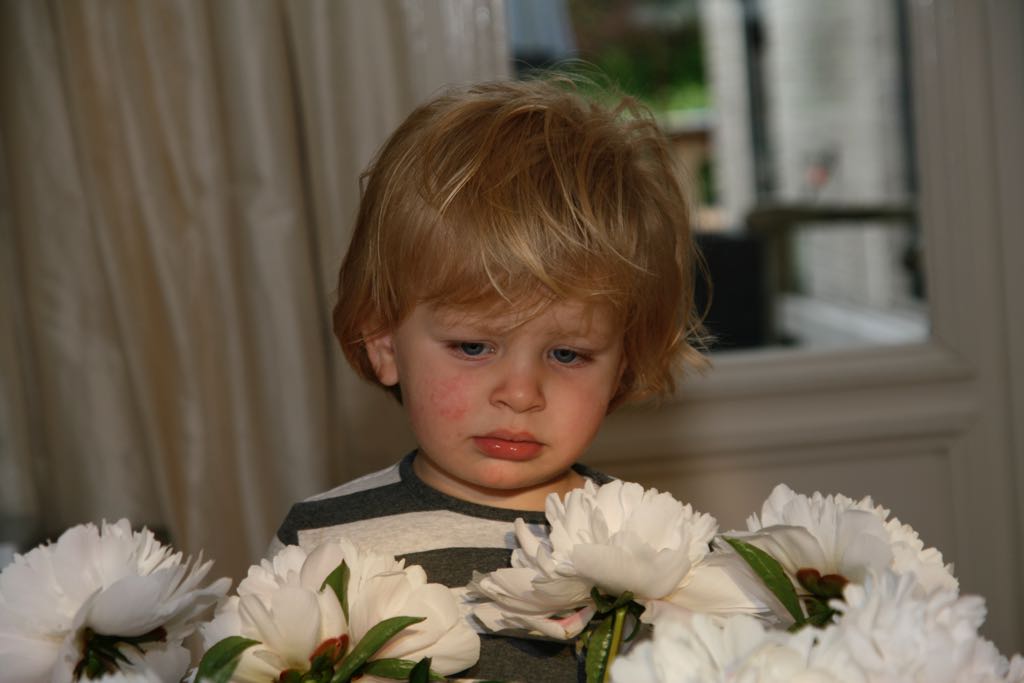 EOS IMG_1160