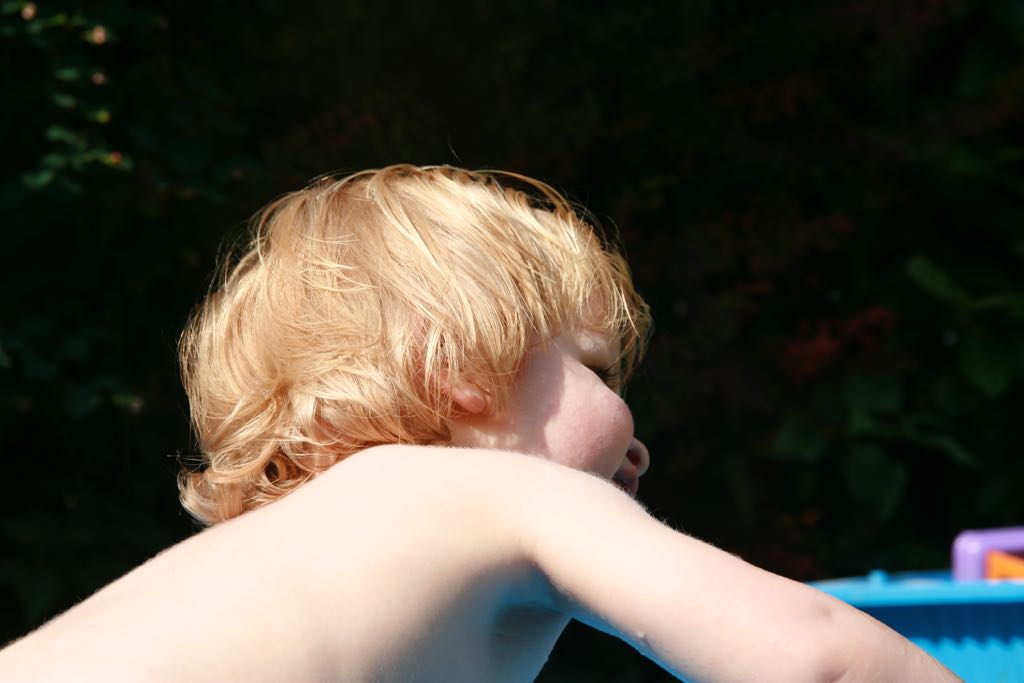EOS IMG_1278