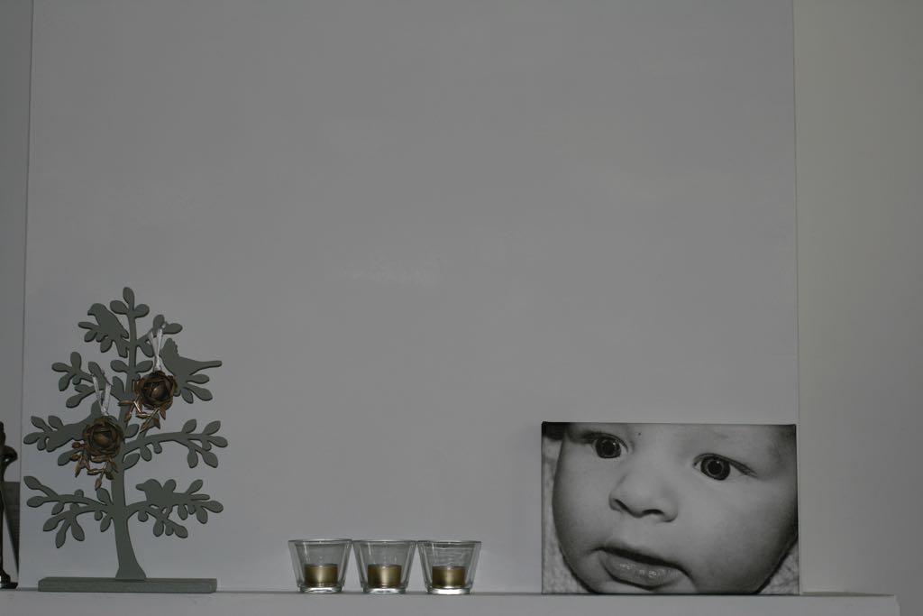 EOS IMG_1503