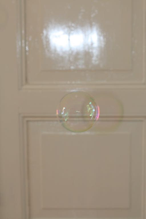 EOS IMG_1785