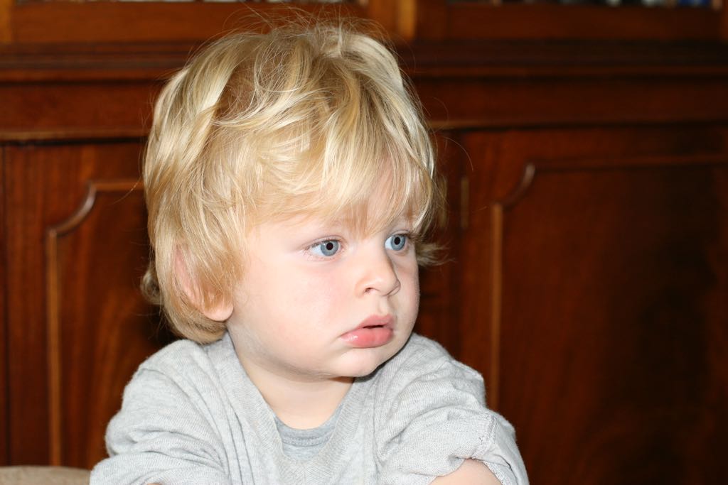 EOS IMG_1980