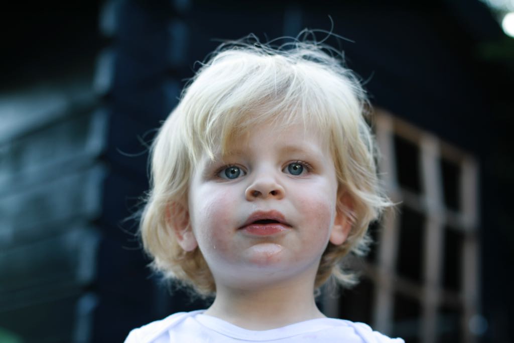 EOS IMG_2028