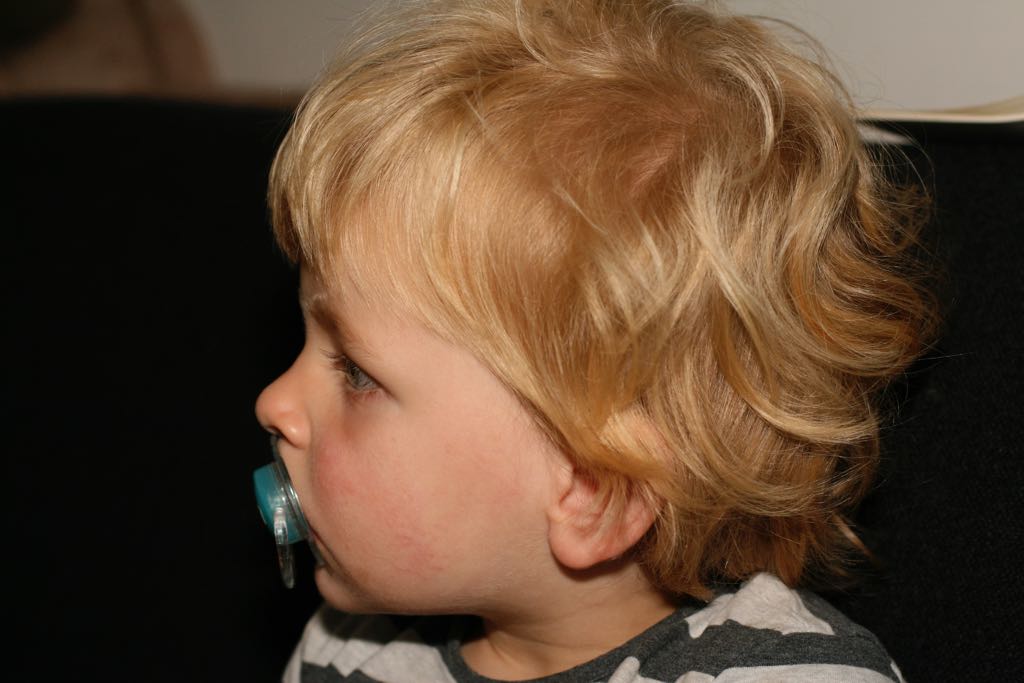 EOS IMG_2485