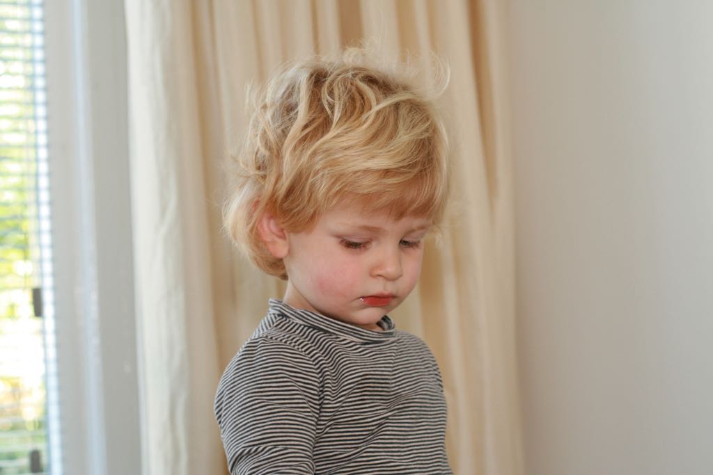 EOS IMG_2500