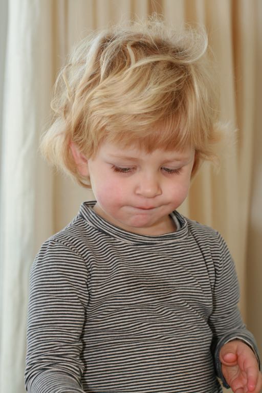 EOS IMG_2515