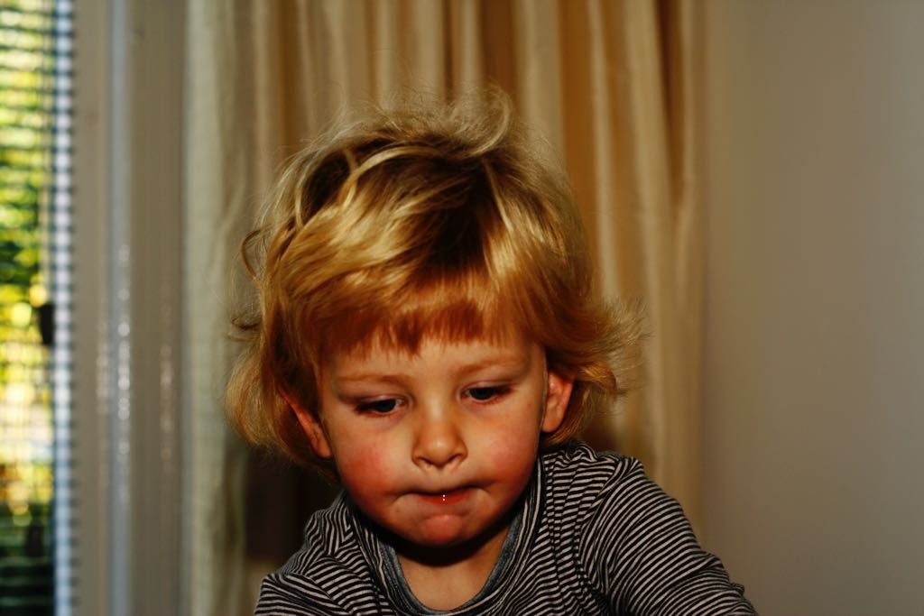 EOS IMG_2522