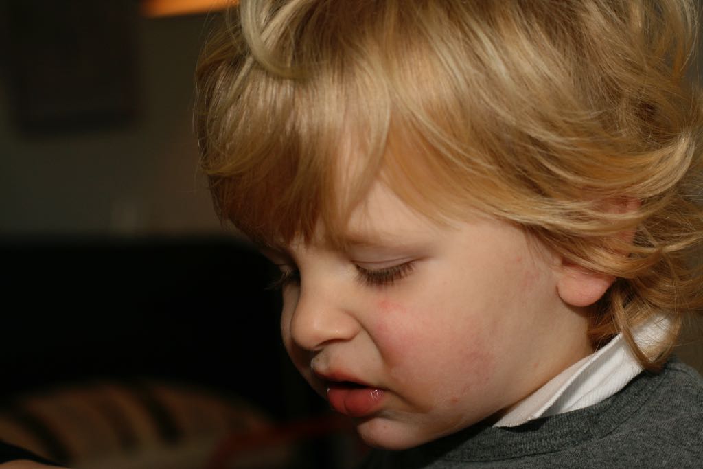 EOS IMG_2727