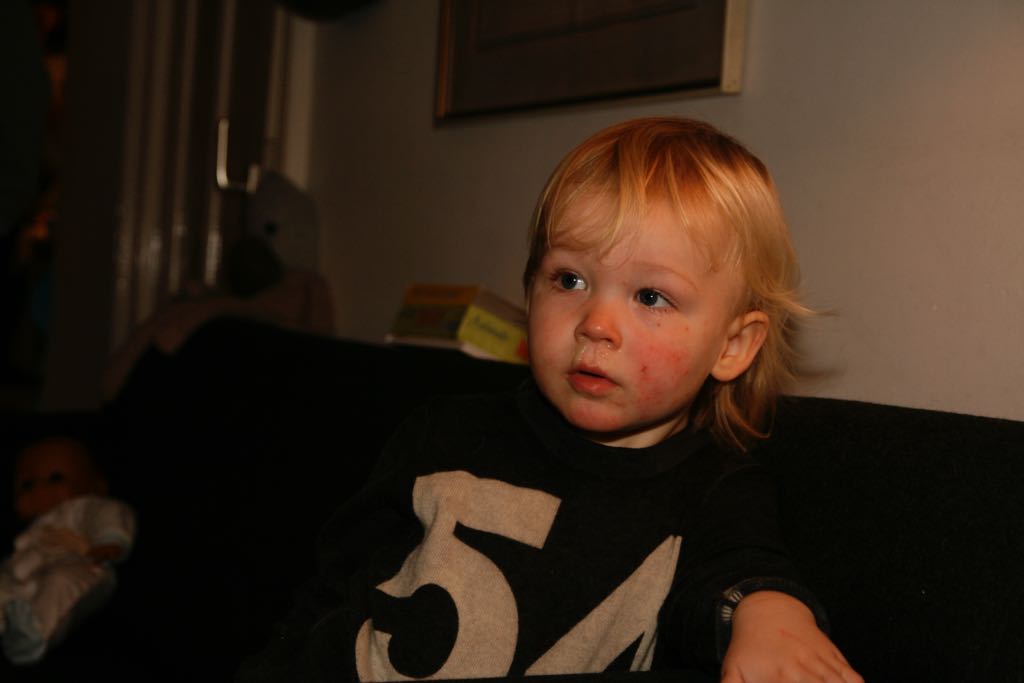 EOS IMG_2762