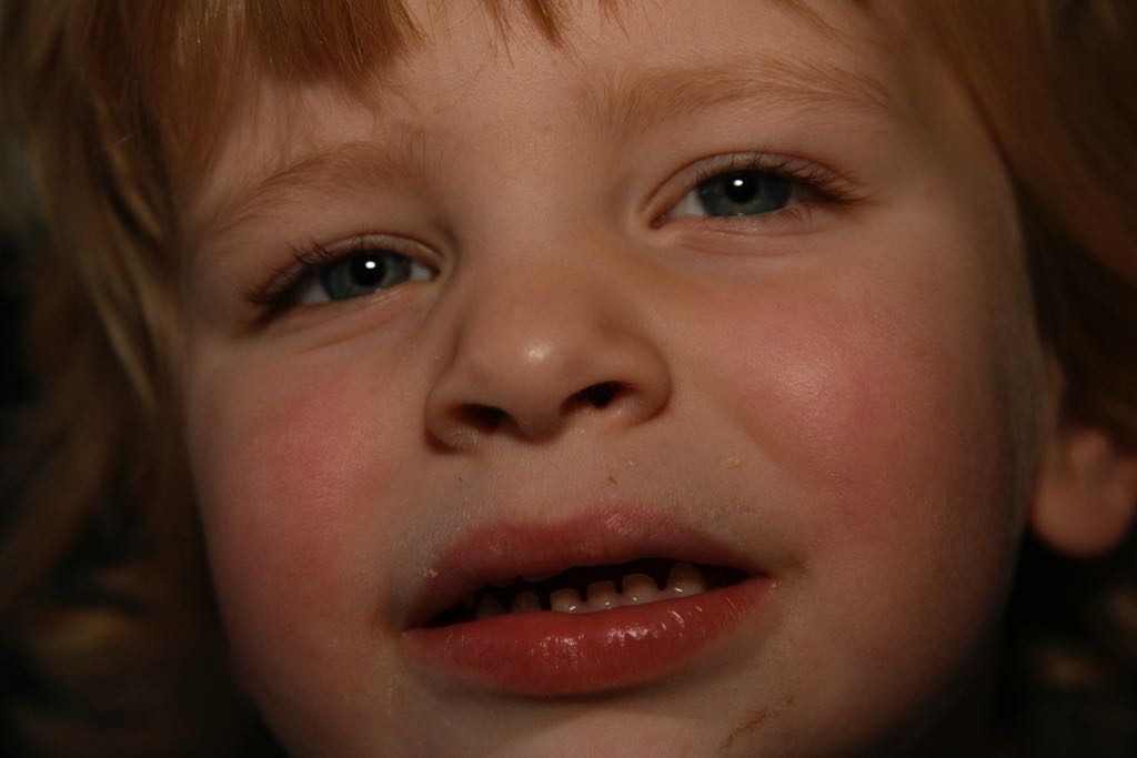 EOS IMG_7331