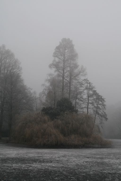 EOS IMG_7532