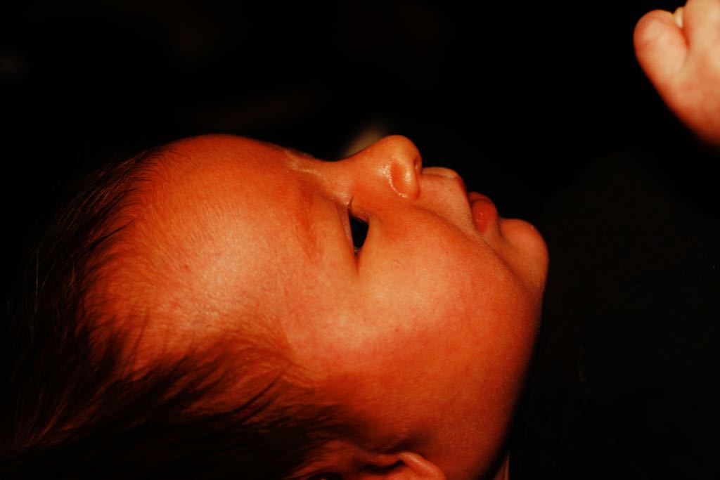 EOS IMG_7569