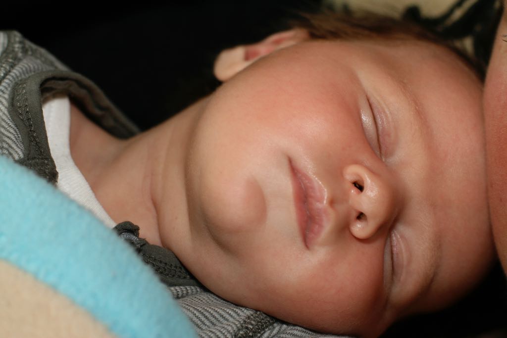 EOS IMG_7641