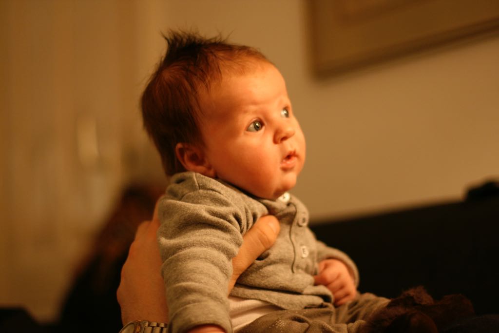 EOS IMG_7684