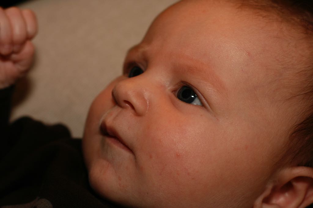 EOS IMG_7705