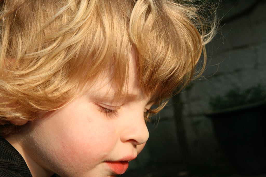 EOS IMG_20090403_0060