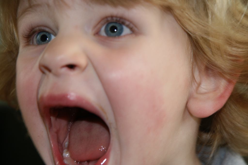 EOS IMG_20090404_0089