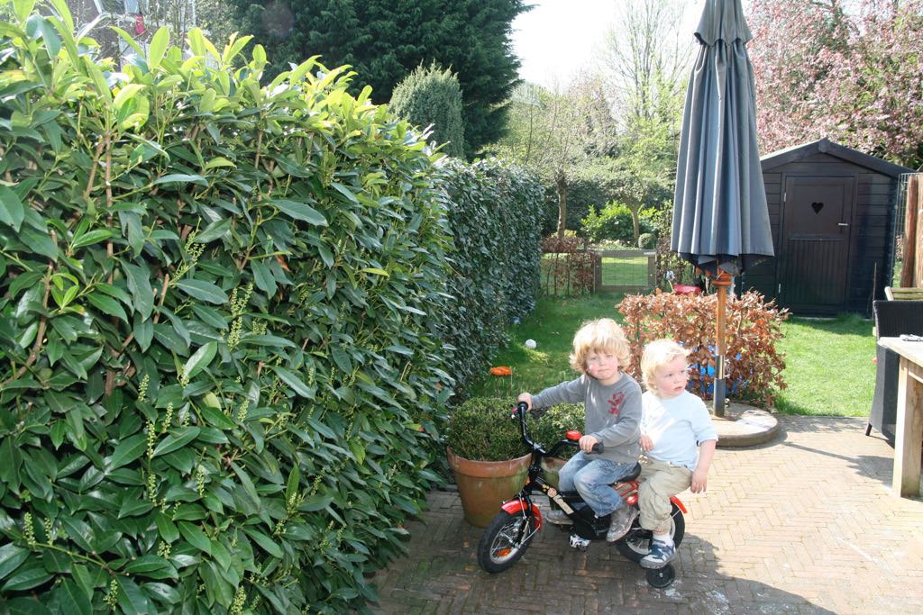 EOS IMG_20090410_0123