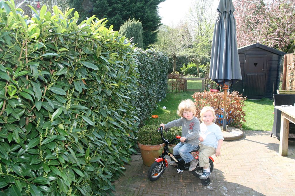EOS IMG_20090410_0124