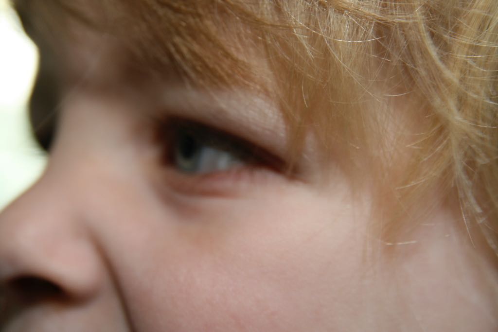 EOS IMG_20090413_0205