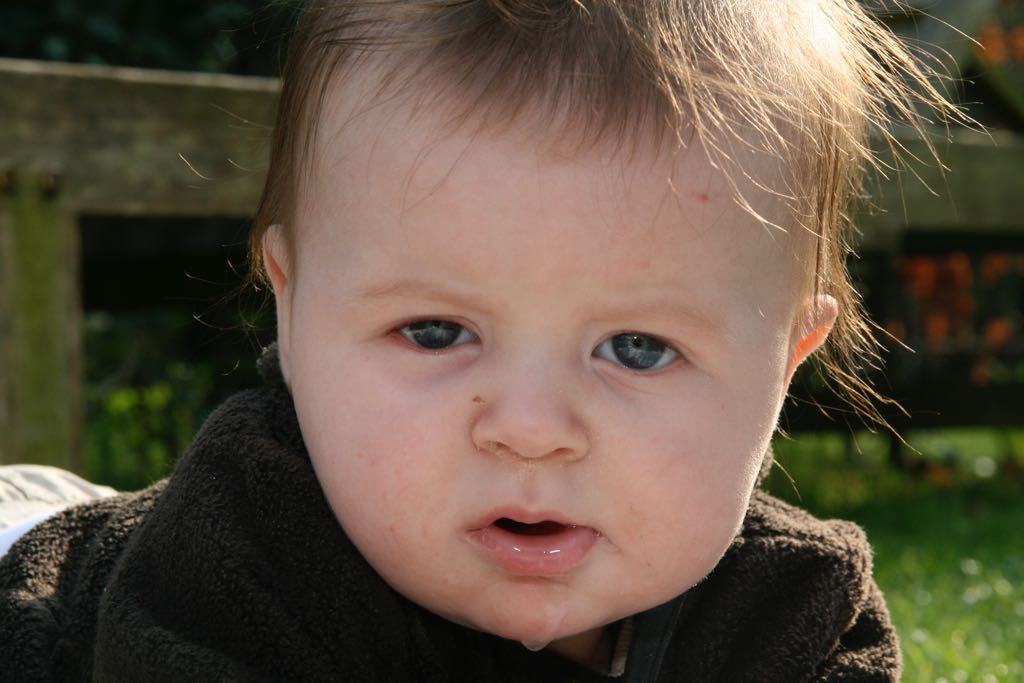 EOS IMG_20090413_0222