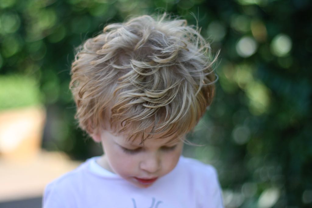 EOS IMG_20090623_0543